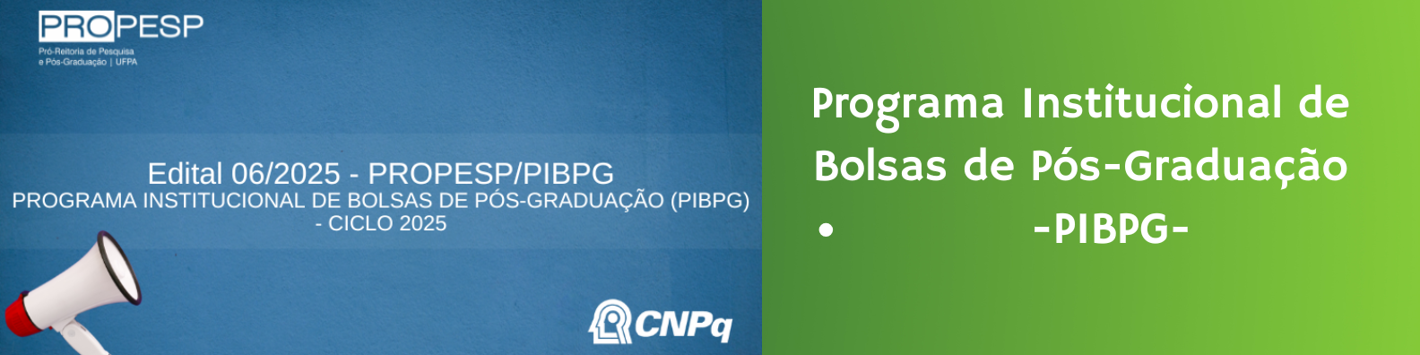 Edital 06/2025 - PROPESP/PIBPG (Bolsas de Mestrado)
